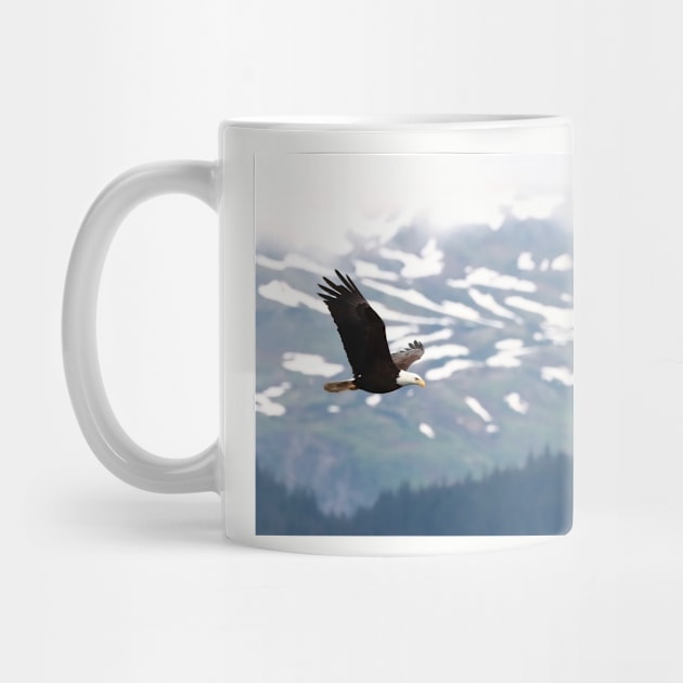 Eagle In Flight by Oregon Art Shop